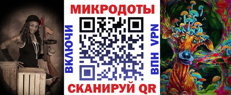 Псилоцибиновые грибы Psilocybe  Ижевск 